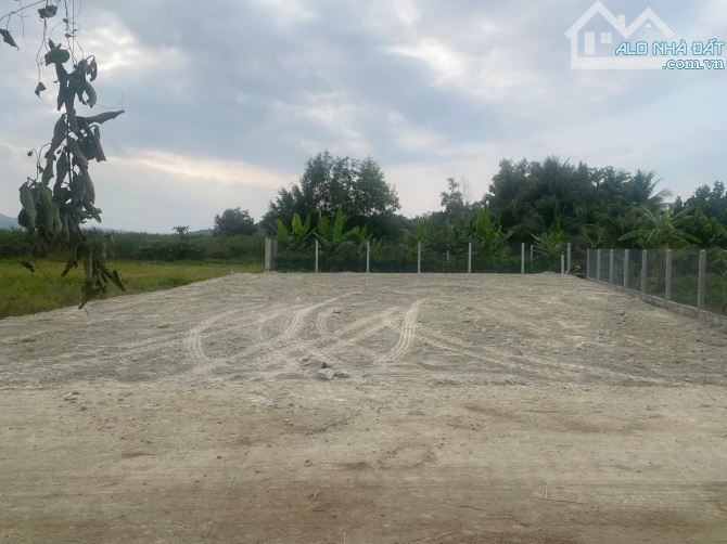 đất dân cắt bán giá chỉ 470tr Diên Tân Diên Khánh cạnh HL62 nở hậu - 2