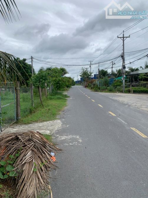 Bán đất Mt đường Phạm Văn Ngô, P Tân Khánh TP Tân An tỉnh Long An - 2