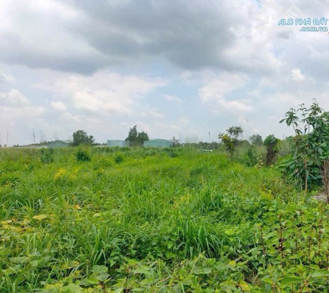 Giá còn 22 tỷ. Bán đất 2 mặt tiền QL1A Bình Minh-Trảng Bom. Gần 1300m có 300m tc. - 2