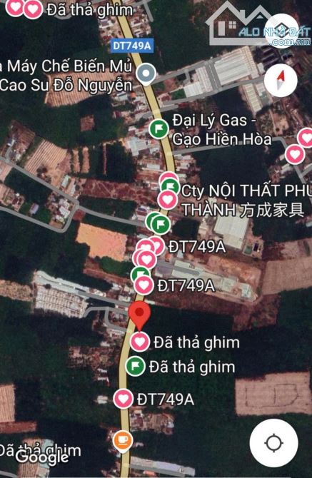 BÁN ĐẤT MẪU, MT DT749A, LONG NGUYÊN, BÀU BÀNG, DT:45x255, NỞ HẬU 90M, SHR, GIÁ 51 TỶ TL - 2