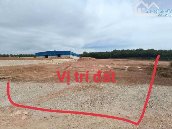 Bán đất Tân Định 61 - Bắc Tân Uyên. DT 15.000m2 - 2