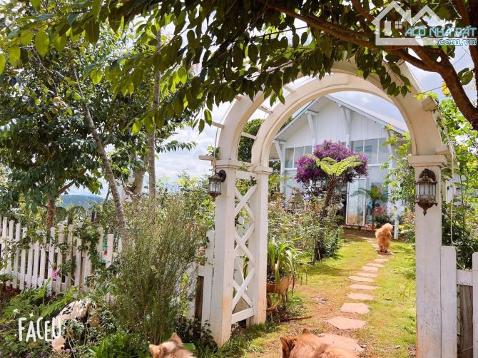 HOMESTAY 1841M2 VIEW THÔNG CỰC ĐẸP NGAY QUÁN CÀ PHÊ CHUYỆN CỦA NẮNG NỔI TIẾNG - 22