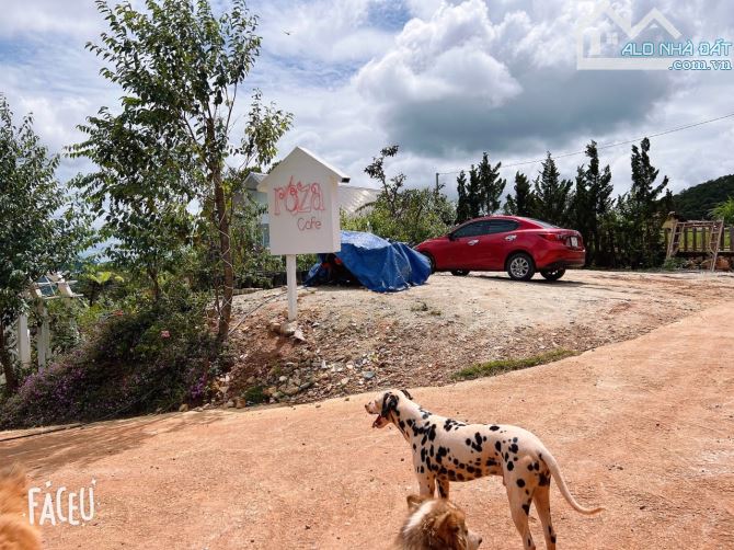 HOMESTAY 1841M2 VIEW THÔNG CỰC ĐẸP NGAY QUÁN CÀ PHÊ CHUYỆN CỦA NẮNG NỔI TIẾNG - 24