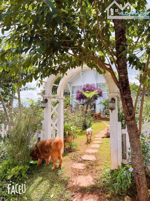 HOMESTAY 1841M2 VIEW THÔNG CỰC ĐẸP NGAY QUÁN CÀ PHÊ CHUYỆN CỦA NẮNG NỔI TIẾNG - 27