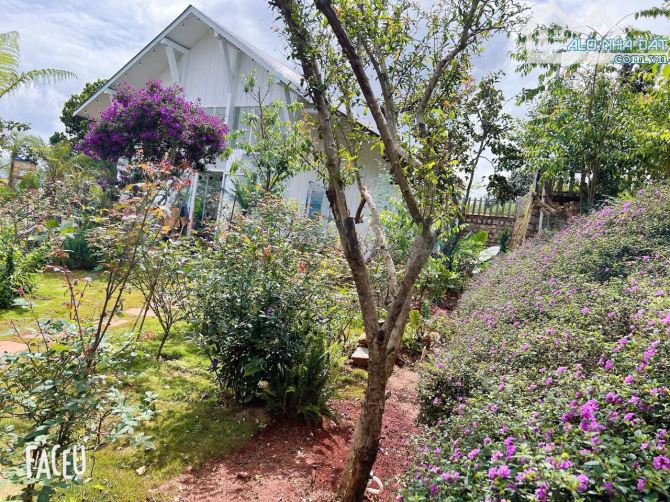 HOMESTAY 1841M2 VIEW THÔNG CỰC ĐẸP NGAY QUÁN CÀ PHÊ CHUYỆN CỦA NẮNG NỔI TIẾNG - 29