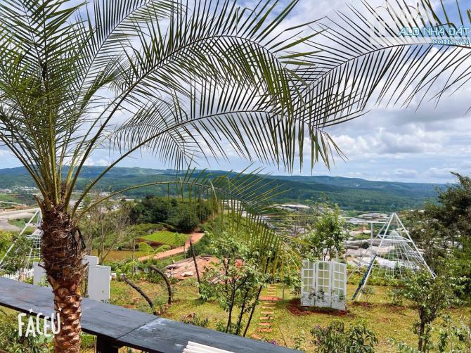 HOMESTAY 1841M2 VIEW THÔNG CỰC ĐẸP NGAY QUÁN CÀ PHÊ CHUYỆN CỦA NẮNG NỔI TIẾNG - 31