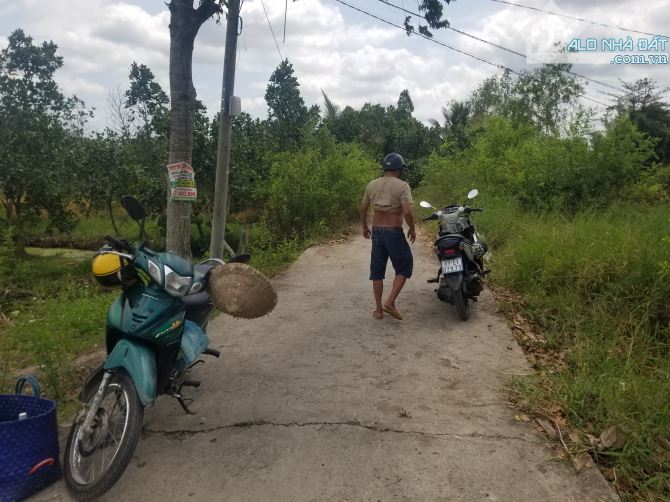 Đất vườn 3800m2, gia 2.xx tỷ. Quy hoạch LỘ 10m nhựa - 3
