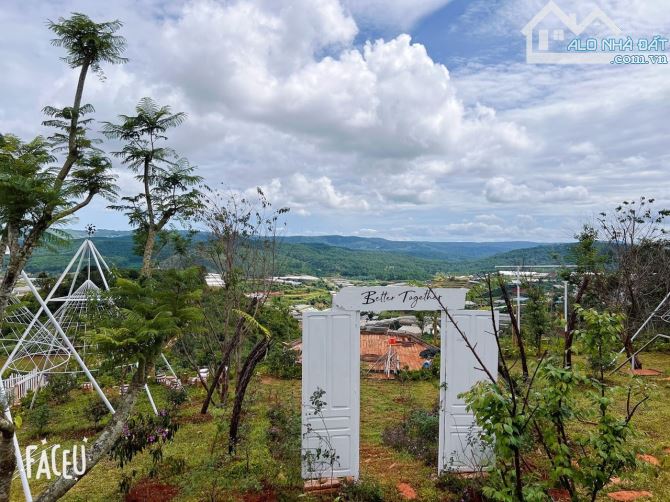 HOMESTAY 1841M2 VIEW THÔNG CỰC ĐẸP NGAY QUÁN CÀ PHÊ CHUYỆN CỦA NẮNG NỔI TIẾNG - 3