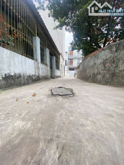 BÁN ĐẤT ĐẠI MẠCH, ĐÔNG ANH. MẶT TIỀN KHỦNG. GIÁ ĐẦU TƯ. - 3