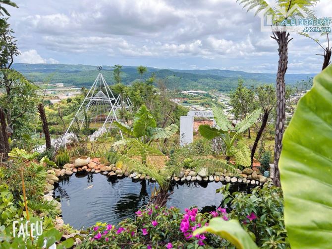 HOMESTAY 1841M2 VIEW THÔNG CỰC ĐẸP NGAY QUÁN CÀ PHÊ CHUYỆN CỦA NẮNG NỔI TIẾNG - 34
