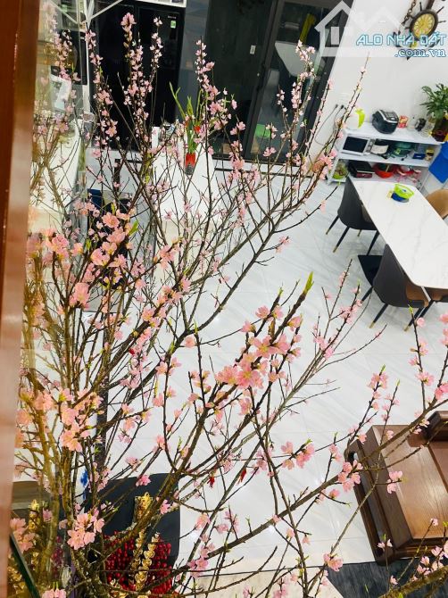 Siêu hiếm phố Kim Đồng, quận Hoàng Mai. Phân lô - ô tô tránh - vỉa hè kinh doanh - 3