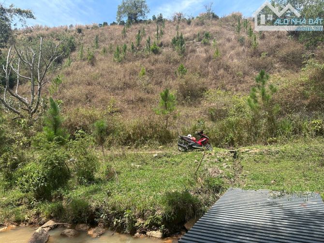 View suối cực đẹp, 380tr/1000m2 Đất có trích lục Tà Nung-Đà Lạt - 5
