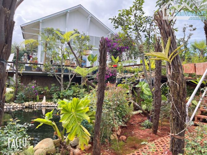 HOMESTAY 1841M2 VIEW THÔNG CỰC ĐẸP NGAY QUÁN CÀ PHÊ CHUYỆN CỦA NẮNG NỔI TIẾNG - 5