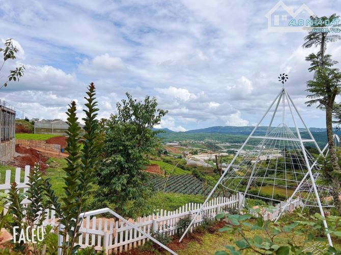 HOMESTAY 1841M2 VIEW THÔNG CỰC ĐẸP NGAY QUÁN CÀ PHÊ CHUYỆN CỦA NẮNG NỔI TIẾNG - 6
