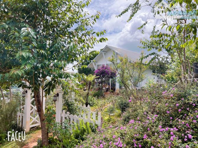 HOMESTAY 1841M2 VIEW THÔNG CỰC ĐẸP NGAY QUÁN CÀ PHÊ CHUYỆN CỦA NẮNG NỔI TIẾNG - 7