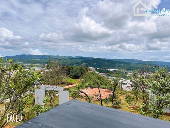 HOMESTAY 1841M2 VIEW THÔNG CỰC ĐẸP NGAY QUÁN CÀ PHÊ CHUYỆN CỦA NẮNG NỔI TIẾNG - 8