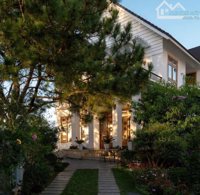 2 VILLA MẶT TIỀN SIÊU ĐẲNG CẤP GIỮA TRUNG TÂM ĐÀ LẠT – VIEW RỪNG THÔNG – TỔNG 25 PHÒNG - 8