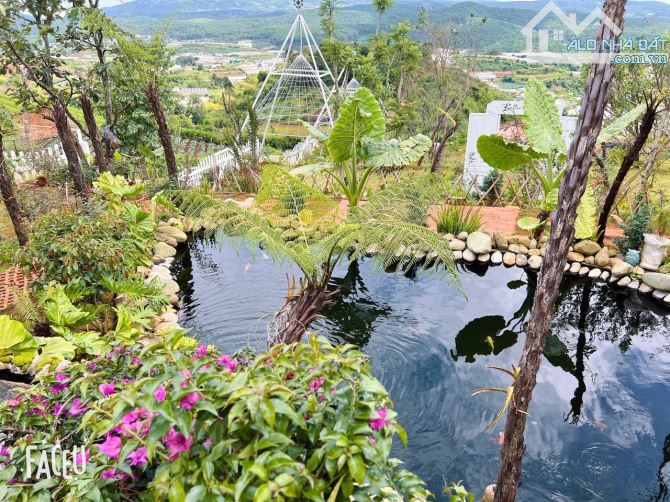 HOMESTAY 1841M2 VIEW THÔNG CỰC ĐẸP NGAY QUÁN CÀ PHÊ CHUYỆN CỦA NẮNG NỔI TIẾNG - 9