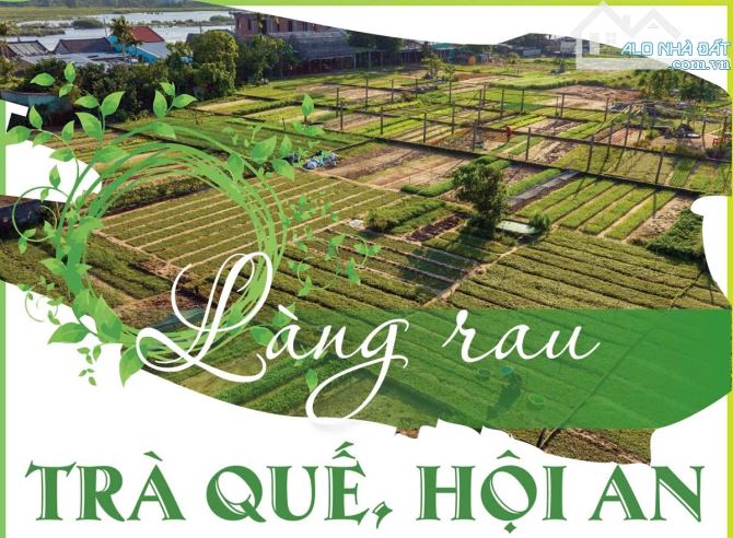 Làng rau Trà Quế View Hồ Tôm , xây nhà villas nghĩ dưỡng