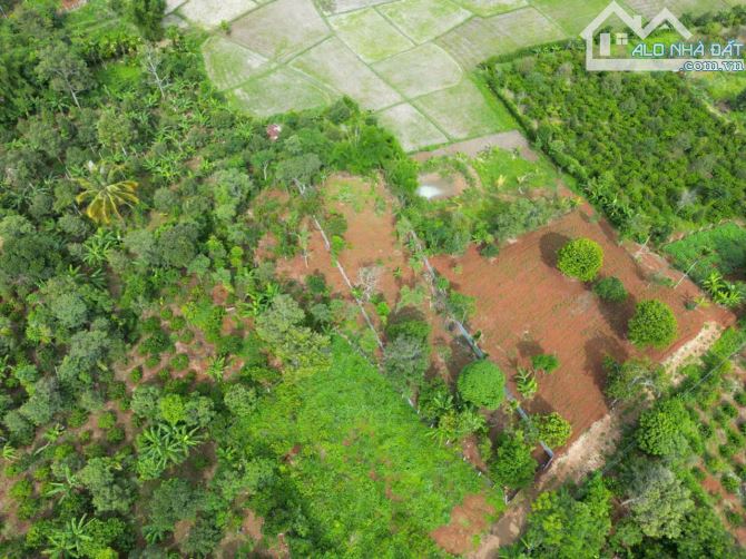 1,2 SÀO VIEW RUỘNG QUY HOẠCH ĐẤT Ở HẺM NGUYỄN XUÂN NGUYÊN: GIÁ 2.4 tỷ
