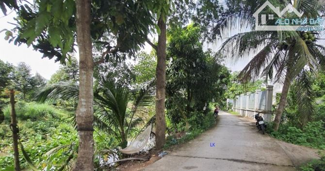🔰 Bán vườn xoài: 5.400m² (Mặt tiền 6m, Đất CLN) 🔰 Đường đan 3m, xã Bình Hàng Tây