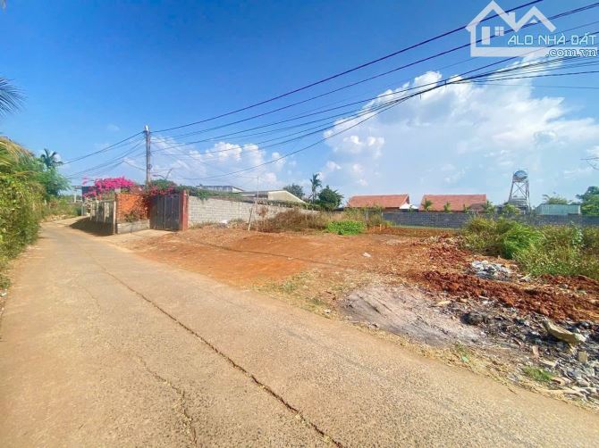 Đất hẻm Mậu Thân phường Tân Hoà bên hông chợ Đầu Mối