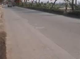 Bán đất, ngõ gần ô tô, sát ủy ban Đại Áng Thanh Trì, DT33m, giá 3.5 tỷ