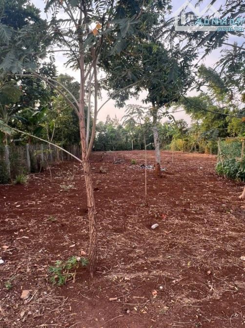 Buôn Ju Eatu sau trường học 6x60 tc 140m giá chỉ 1390