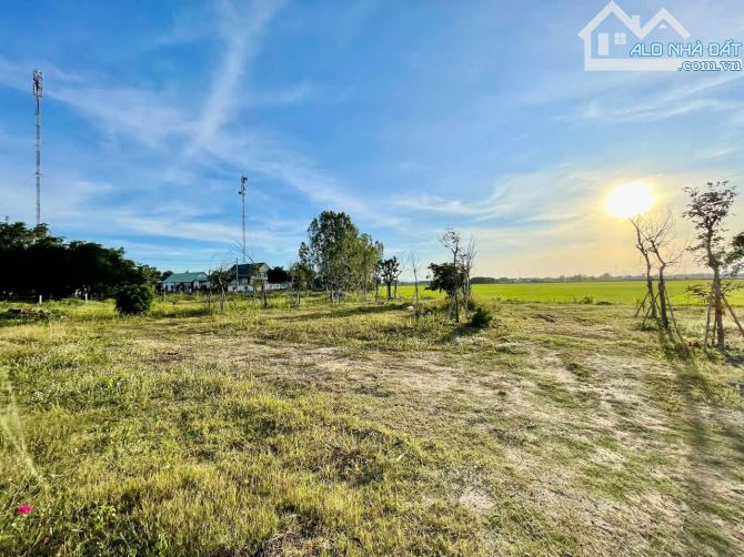 lô đất view ruộng siêu đẹp thuộc xã phước thuận Xuyên Mộc 2131m sẵn 250m thổ cư