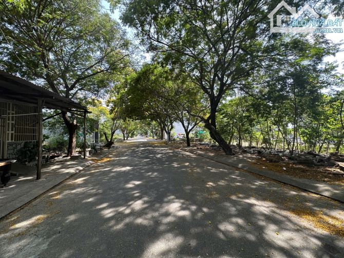 Bán lô đất Tái Định Cư Đất Lành, xã vĩnh thái, thành phố Nha Trang - 1