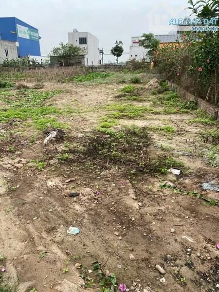 Bán mảnh đất siêu đẹp tại xã Tây Sơn Kiến xương - 1