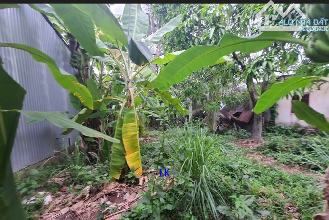 🔰 Bán đất vườn: 1.136m² (22m x 75m, Hậu 18m, CLN) 🔰 Đường nhựa 3.5m, xã Mỹ Xương - 1