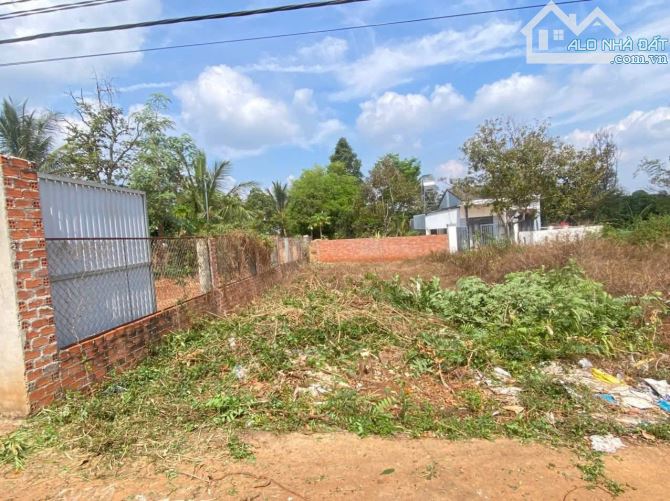 👉 Đất hẻm 473 YMOAL cách trục chính chỉ 20m - 1