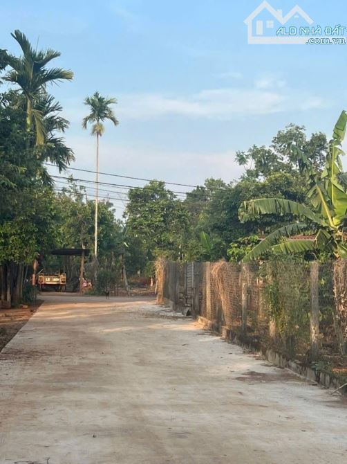 Buôn Ju Eatu sau trường học 6x60 tc 140m giá chỉ 1390 - 1