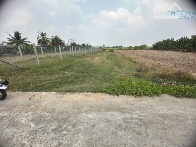Đất Thổ Vườn Phước Vân Cần Đước 895m2 SHR - 1