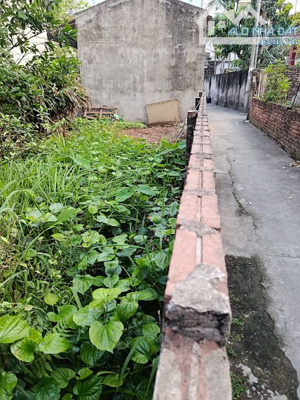 BÁN ĐẤT VÀNG PHÚC LỢI, LONG BIÊN - VỊ TRÍ ĐẮC ĐỊA, TIỀM NĂNG SINH LỜI CAO! - 1
