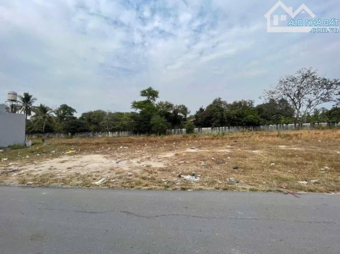 Trung tâm TT. Long thành_Kế bên dự án ECOTOWN Đường Nhựa_ngang 6.8m_thổ cư sẵn_2 tỷ 250 - 1