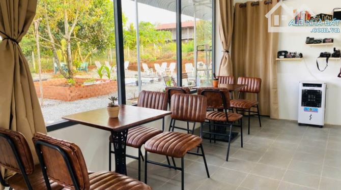 Bán Quán Cafe kết hợp Nhà Vườn Trái Cây 2500m2, mặt tiền đường LG-BB, Cẩm Mỹ, Đồng Nai - 2
