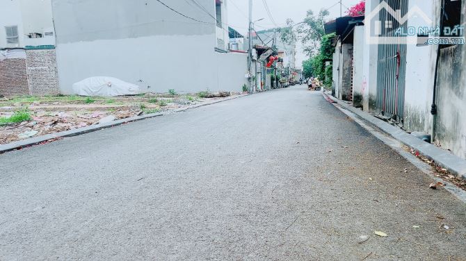 HOA HẬU NAM HỒNG SIÊU ĐẸP Ô TÔ NGỦ TRONG ĐẤT 64M ZÁ RẺ - 2
