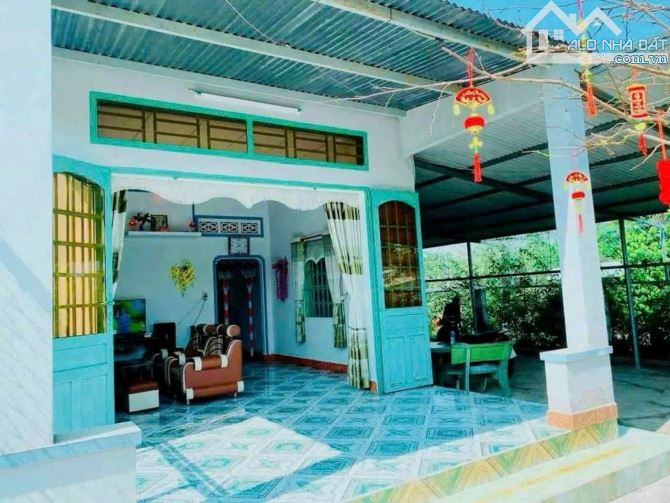 Cần tiền về quê nên bán gấp nhà xã Bình Hòa 1 xẹc cách ngã 3 Cây Dương ( dt 768 ) chỉ 500m - 2