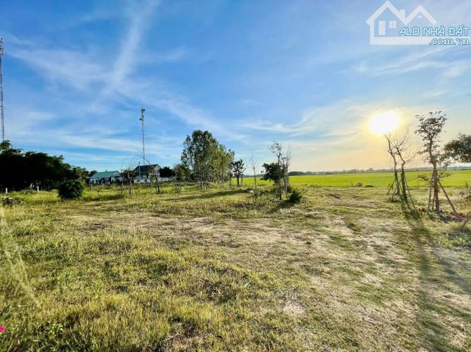 lô đất view ruộng siêu đẹp thuộc xã phước thuận Xuyên Mộc 2131m sẵn 250m thổ cư - 2