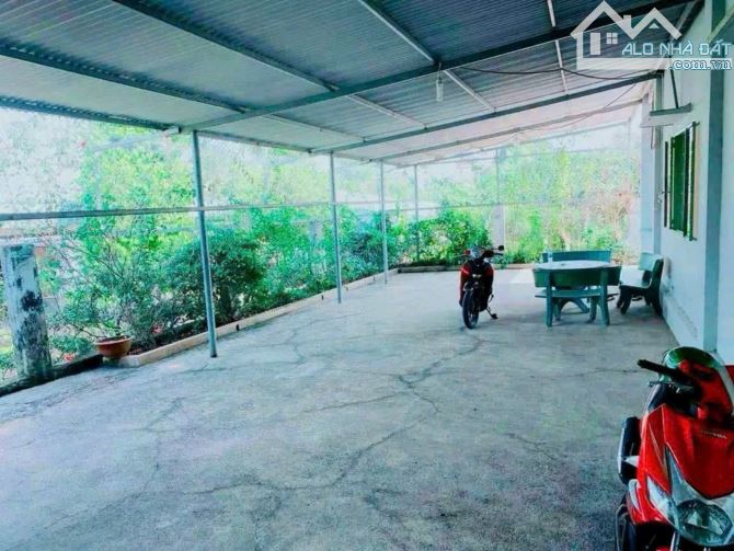Cần tiền về quê nên bán gấp nhà xã Bình Hòa 1 xẹc cách ngã 3 Cây Dương ( dt 768 ) chỉ 500m - 3