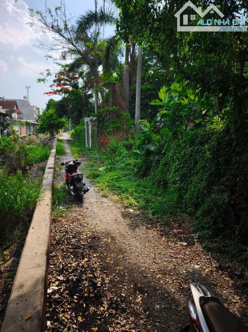 BÁN ĐẤT LỚN AN PHÚ ĐÔNG QUẬN 12 GIÁ RẺ 49 TỶ - 3