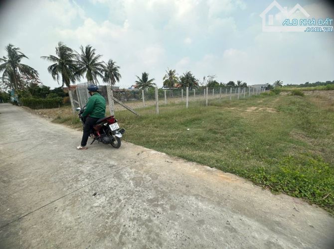 Đất Thổ Vườn Phước Vân Cần Đước 895m2 SHR - 3