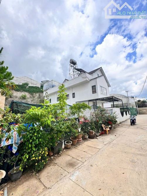 Giảm giá bán nhanh đất biệt thự Vạn Thành - P5 - Đà Lạt - 4