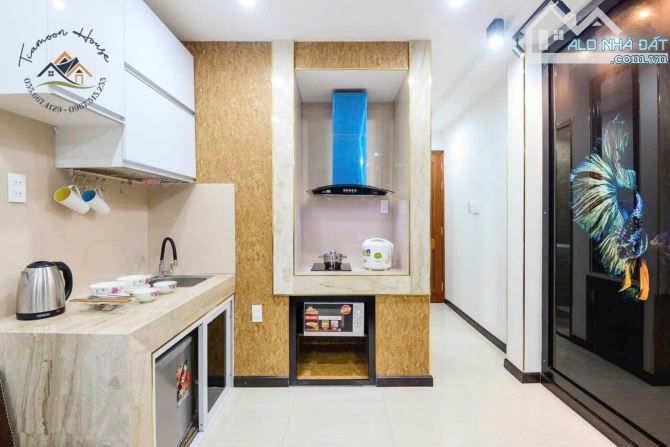 Khai Trương căn hộ ngay trung tâm quận 1, cửa sổ đón nắng, ngay cầu Nguyễn Văn Cừ - 4