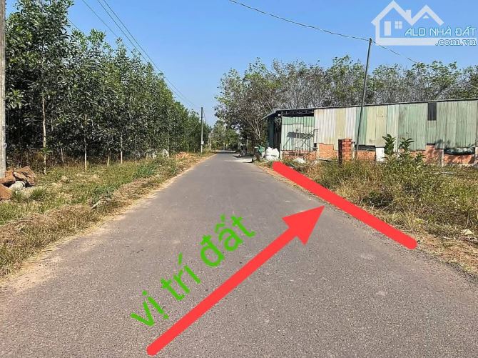 Đất nền giá rẻ sổ riêng thổ cư 1 sẹc Phùng Hưng An Viễn 1 tỷ 1/nền. - 4