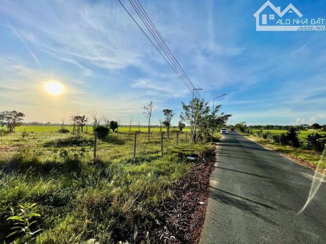 lô đất view ruộng siêu đẹp thuộc xã phước thuận Xuyên Mộc 2131m sẵn 250m thổ cư - 4