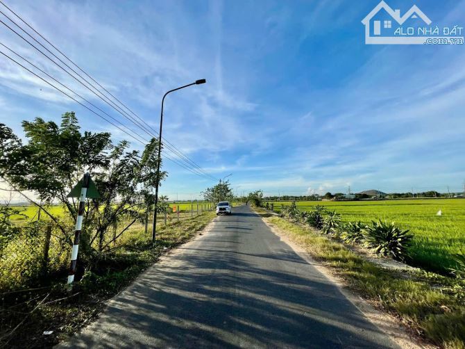 lô đất view ruộng siêu đẹp thuộc xã phước thuận Xuyên Mộc 2131m sẵn 250m thổ cư - 6