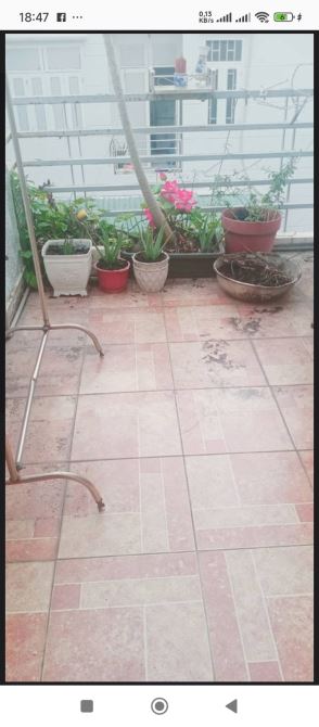 Bán nhà hẻm Đường Cống Lỡ P15 Quận Tân Bình TP HCM. DT50M2. Giá hót 4Tỷ 3. - 6